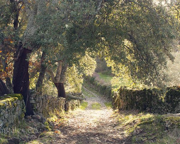 Villa Sierra De Gata Santibanez el Alto Bagian luar foto